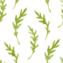 Watercolor ruccola seamless pattern isolated on white background. Botanical illustration.