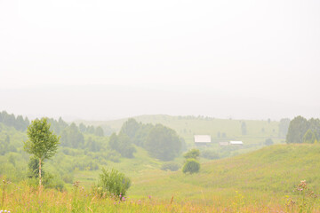 Foggy morning in the countryside