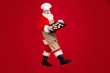 Full size profile side of white grey hair bearded santa claus hold baking sheet with ginger bread x-mas cookies go wear gloves apron cap isolated bright shine color background