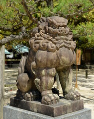 Fototapeta na wymiar Stone lion at Sumiyoshi Shrine in Fukuoka city, Japan. This shrine is dedicated to safe travel by sea and is presumably the oldest shinto shrine in Kyushu.