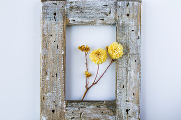 Empty frame for background, space for text and dried flowers
