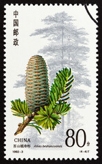 Abies beshanzuensis conifer (China 1992)