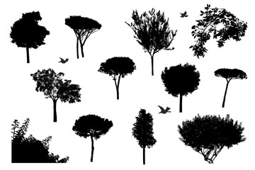 Plants set silhouette, isolated trees and bushes with birds on white background for desing