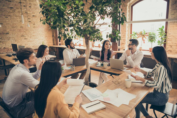 Photo of business men ladies people partners sitting around table desktop spacious big office seven members successful professionals good mood discussing new project indoors - obrazy, fototapety, plakaty