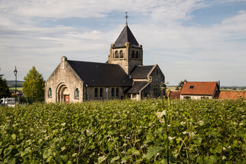 Fototapeta na wymiar a church in the vineyards in champagne, france