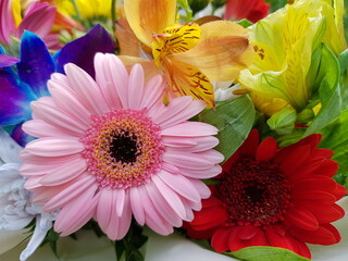   Bouquet of yellow and red gerberas. bouquet of flowers