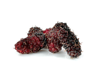 mulberries fruit isolated on a white background