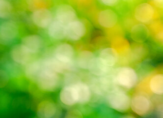 Green and yellow bokeh blurred background of leaves and flower in the day time