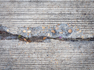 Cement cracks on the sidewalks in the park