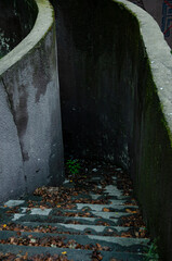 
old concrete abandoned staircase in the park