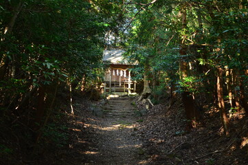 【大分県】大元八坂神社・境内