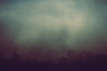 Foggy autumn landscape, sad feelings in the nature. Background with dark, soft colors. Bad mood, depression concept