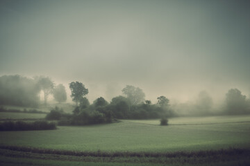 Foggy dark landscape, sad feelings in the nature. Background with soft colors. Bad mood, depression concept