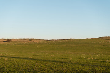 Fototapeta na wymiar Beautiful rural landscape with green land and light blue sky.