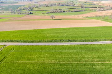 Obraz premium Country road runs through agricultural landscape near Johlingen