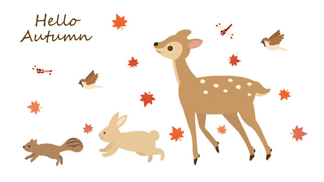 かわいい秋の動物たちのイラスト