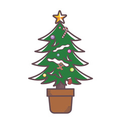 christmas tree isolated on white