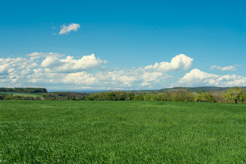 Agricultural landscape in Johlingen