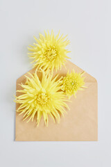 wedding concept. yellow dahlia flowers on a white desk. invitations for a holiday in envelopes from kraft paper. flat lay, top view