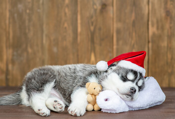 Fototapeta na wymiar Cute husky puppy wearing a red santa`s hat hugs toy bear and sleeps on pillow on wooden background