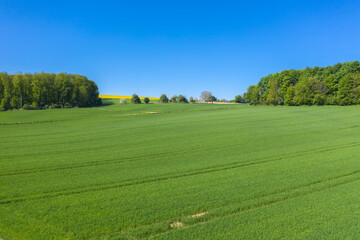 Fototapeta na wymiar Aerial drone view, agricultural landscape in Johlingen