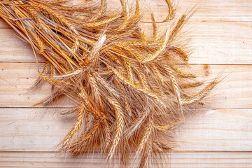 Rye field. Whole, barley, harvest wheat sprouts. Wheat grain ear or rye spike plant on wooden texture or brown natural cotton background, for cereal bread flour. Element of design.