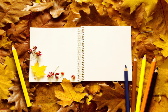 Colorful autumn background. Open notebook with blank white pages for text, colored pencils on bright autumn leaves, top view, flat lay. - Powered by Adobe