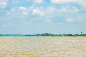 Mangrove swamp Teclolutla River Veracruz Mexico