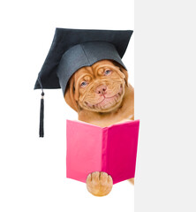 Graduated dog with open book looks from behind empty board. isolated on white background