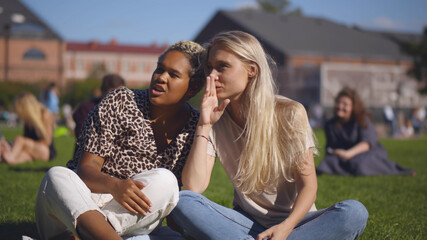 Diverse girlfriends sitting in park on green grass chatting and relaxing on break at work