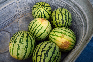 Fresh watermelons and other summer melons for sale at a farmers market