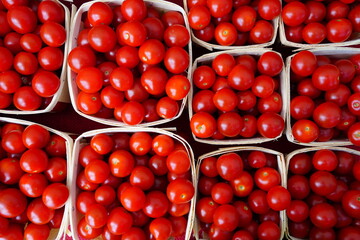 Containers of colorful tomatoes at the farmers market