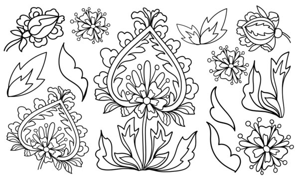 set of amazing floral elements plant bud coloring isolate on white background illustration for book black and white image with herbal elements anti stress vector graphics print f doodle sketch © Mariana Kochmar