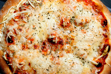 Close up of tasty pizza with tomato and cheese