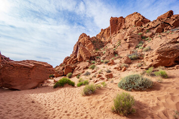 Fototapeta na wymiar Red sand and rock formations with desert shrubs in Nevada southwestern United States in the Valley of Fire State Park