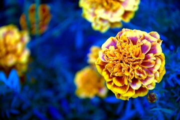 Children's amusement parks in Poland.