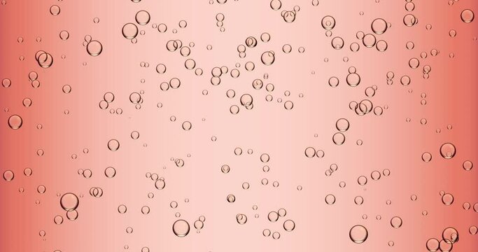 Rose champagne bubbly background. Bubbles floating upwards.