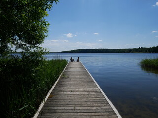 wooden bridge over lake