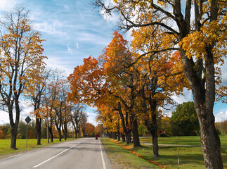 Beautiful autumn landscape and asphalt road.