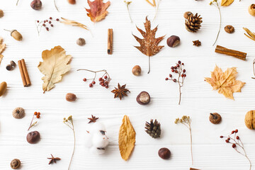 Autumn flat lay. Fall leaves, berries, acorns, walnuts, cinnamon,anise , cotton and pine cones on white background. Minimalistic autumn natural pattern