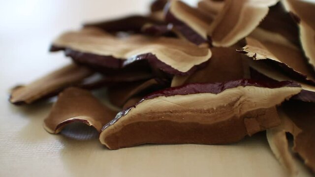 Dry Ling Zhi Mushroom