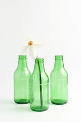 floral concept. narcissus flower in a glass vase. minimalistic composition