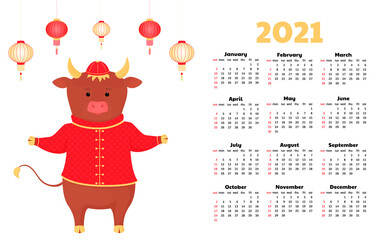 Chinese new year of the bull. Happy cow and asian lanterns. Calendar for 2021 from Sunday to Saturday. Funny cartoon ox for poster, card, invitation, calendar. Lunar horoscope sign.