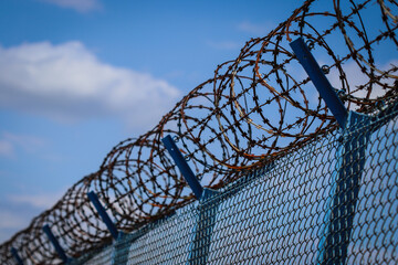 barbed wire netting fence