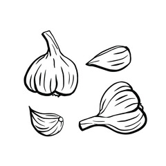 A set of hand-drawn illustrations of garlic. Design elements for a poster, banner, or menu. Garlic isolated on a white background. Hand-drawn vector illustration in Doodle style.