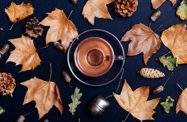Cup of tea with autumn leaves, acorn and cones on dark background from above. Maple leaf texture on...