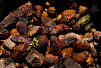 Papa al horno andino