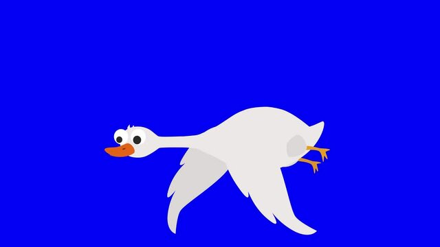 Flat vector animation of flying  goose. Goose 4k cartoon for web design. The Biggest Water Bird that Can Fly. Goose with wings flying flat vector video.