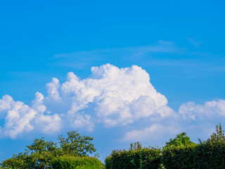 Obraz premium 夏の青空と大きな入道雲
