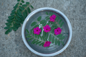 Fototapeta na wymiar flowers lie on the water in a bowl